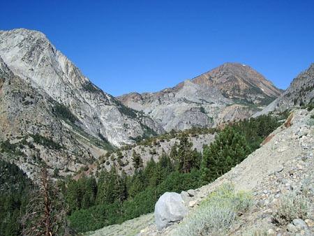 Tioga Road Tioga Road